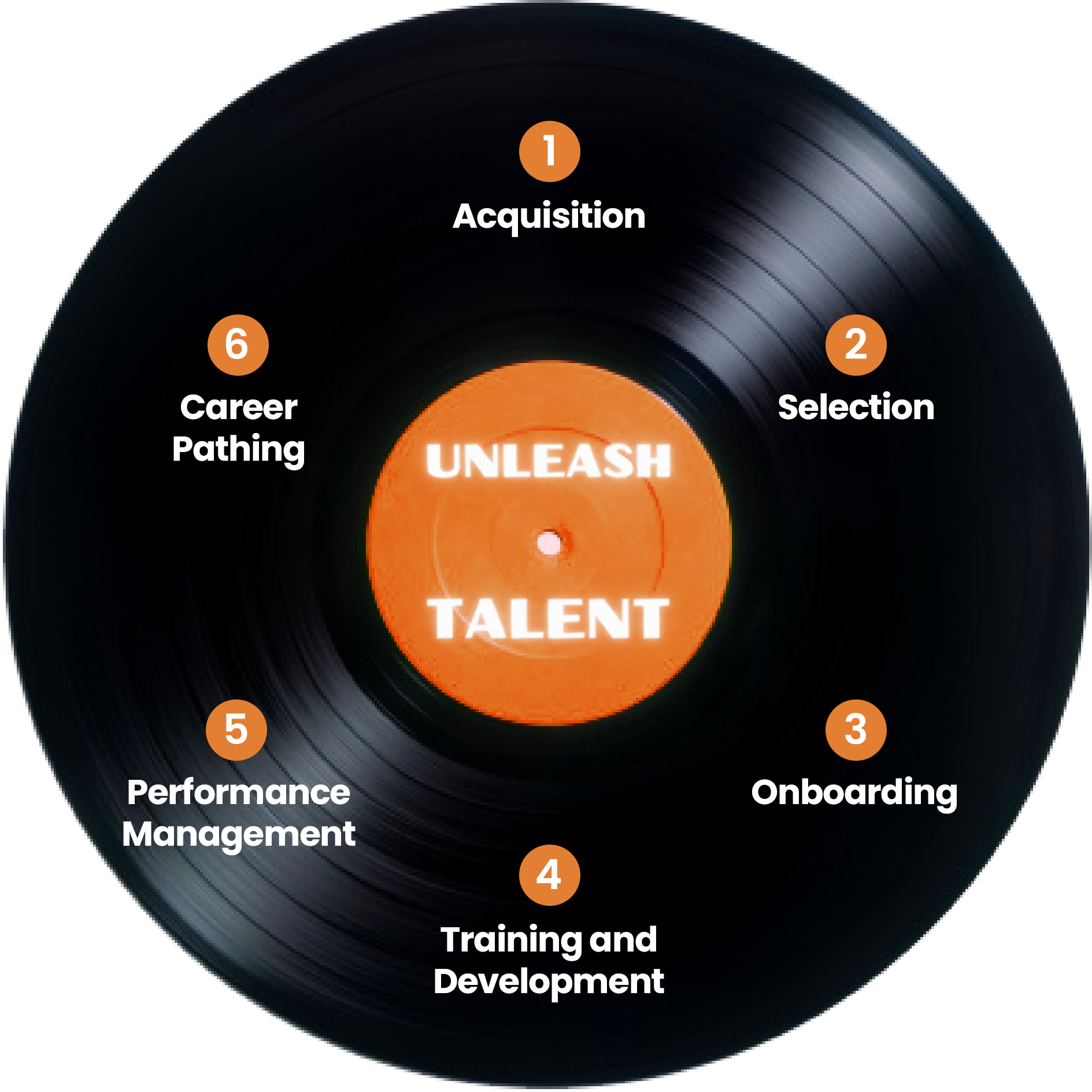 Unleashing Talent - Lifecycle